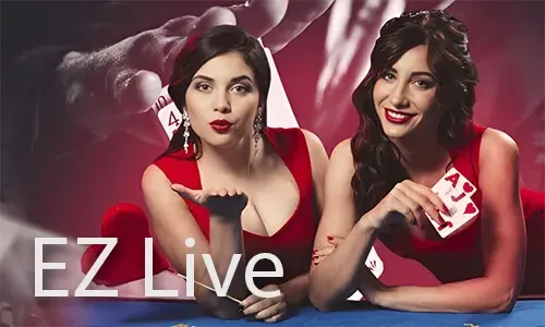 24/7 Live Chat Support