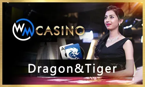 Trusted Gaming Partner 3